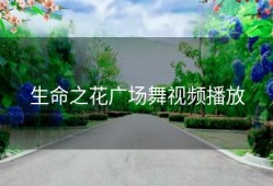 生命之花广场舞视频播放