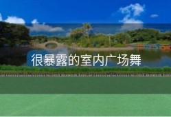 很暴露的室内广场舞