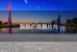 飘飘广场舞片片