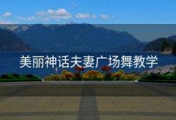 美丽神话夫妻广场舞教学