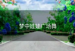 梦中娃娃广场舞