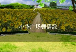 小华广场舞情歌