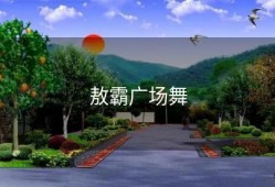敖霸广场舞