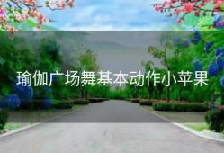 瑜伽广场舞基本动作小苹果