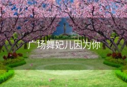 广场舞妃儿因为你