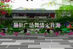 最新广场舞情火背面