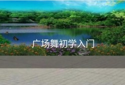 广场舞初学入门