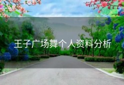 王子广场舞个人资料分析