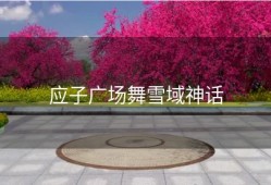 应子广场舞雪域神话