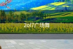 2ol7广场舞