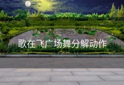 歌在飞广场舞分解动作