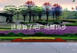 还是算了吧广场舞16步