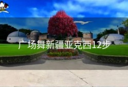 广场舞新疆亚克西12步