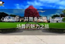 心心相印，共舞幸福旋律——广场舞的魅力之旅