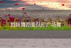 姐妹舞蹈变队形广场舞