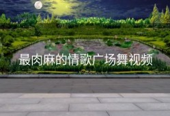 最肉麻的情歌广场舞视频