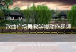 歌曲广场舞教学慢动作视频
