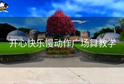 开心快乐慢动作广场舞教学