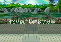 回忆从前广场舞教学分解