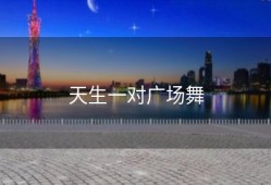 天生一对广场舞