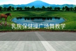 乳房保健操广场舞教学