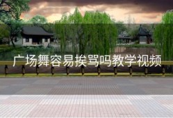 广场舞容易挨骂吗教学视频