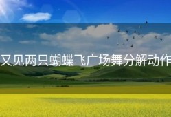 又见两只蝴蝶飞广场舞分解动作