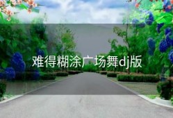 难得糊涂广场舞dj版