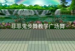 菲菲鬼步舞教学广场舞