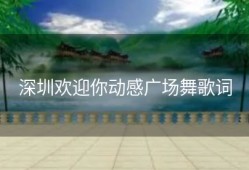 深圳欢迎你动感广场舞歌词
