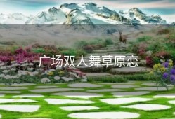 广场双人舞草原恋