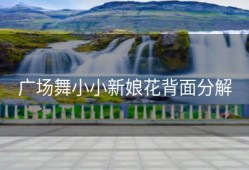 广场舞小小新娘花背面分解