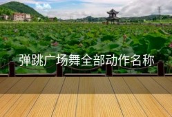 弹跳广场舞全部动作名称