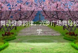 舞动健康韵律，六步广场舞轻松学