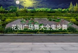 花姐广场舞大全鬼步舞