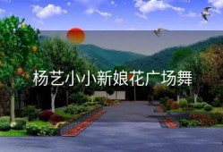 杨艺小小新娘花广场舞