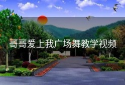 哥哥爱上我广场舞教学视频