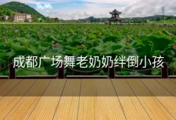 成都广场舞老奶奶绊倒小孩