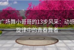 广场舞小哥哥的13步风采：动感旋律中的青春舞者