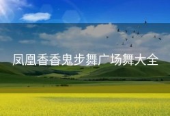 凤凰香香鬼步舞广场舞大全