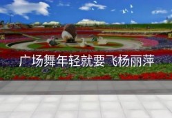 广场舞年轻就要飞杨丽萍