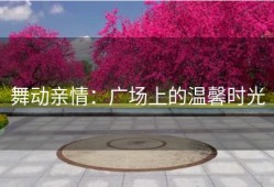 舞动亲情：广场上的温馨时光