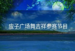 应子广场舞吉祥参赛节目