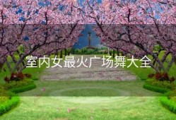 室内女最火广场舞大全