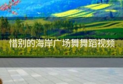 惜别的海岸广场舞舞蹈视频