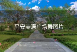平安美满广场舞图片