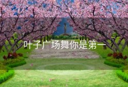 叶子广场舞你是第一