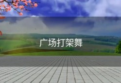 广场打架舞