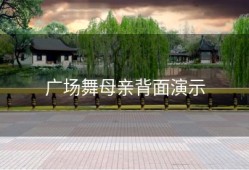 广场舞母亲背面演示