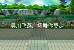 吴川飞燕广场舞你莫走